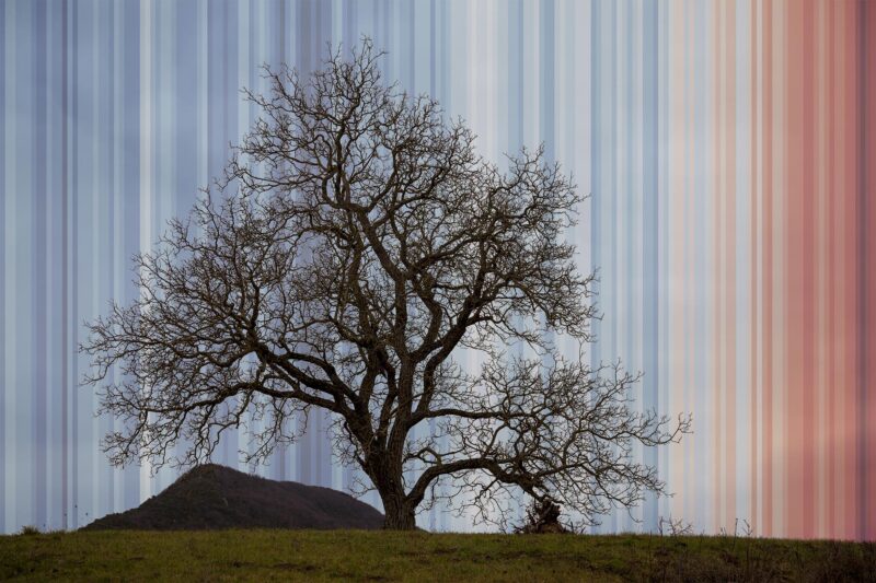 philippe-liev pourcelot - Warning Stripes - 2024