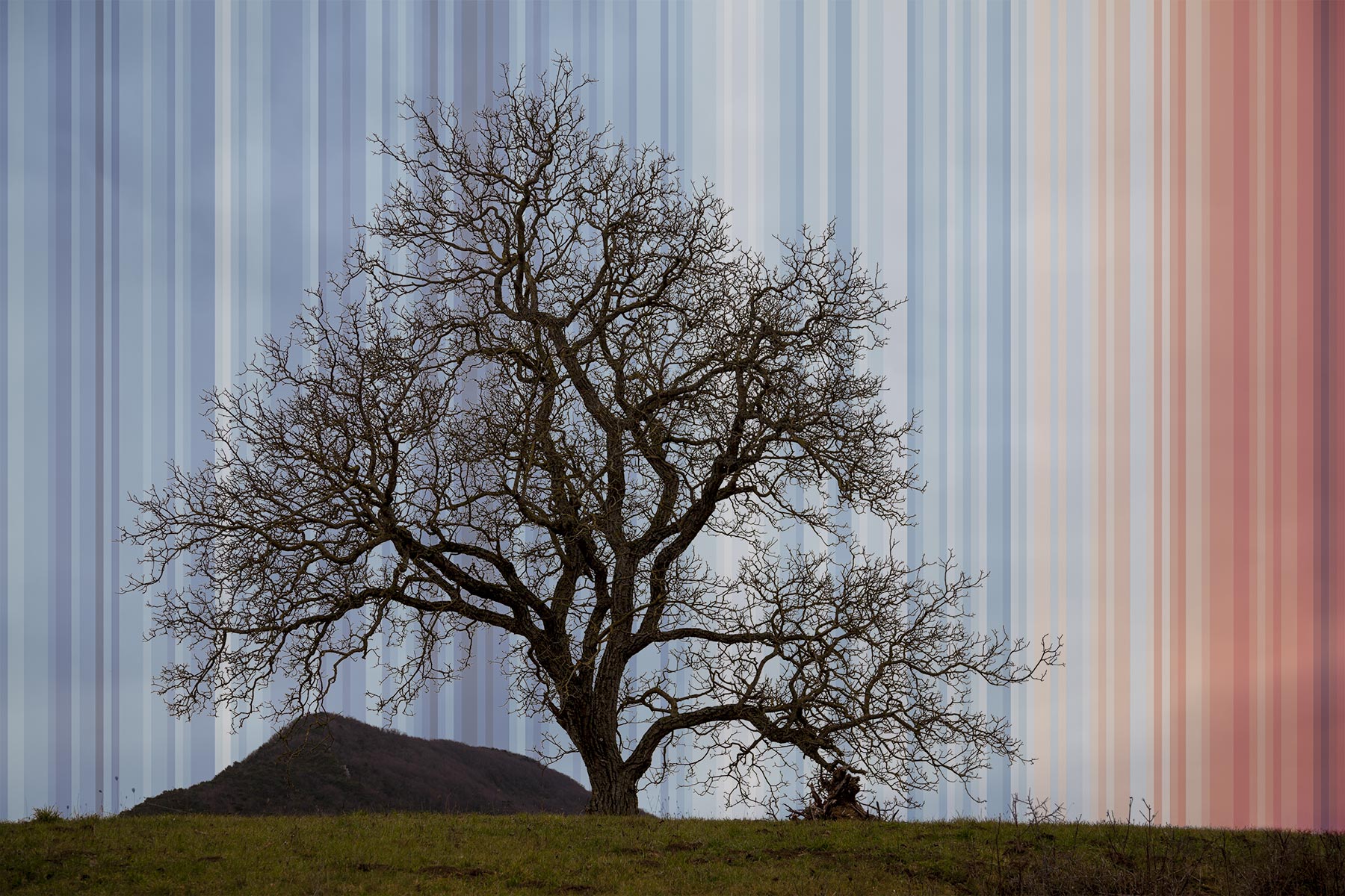 philippe-liev pourcelot - Warning Stripes - 2024