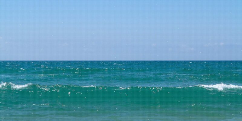 20 000 jours © phlp 2019