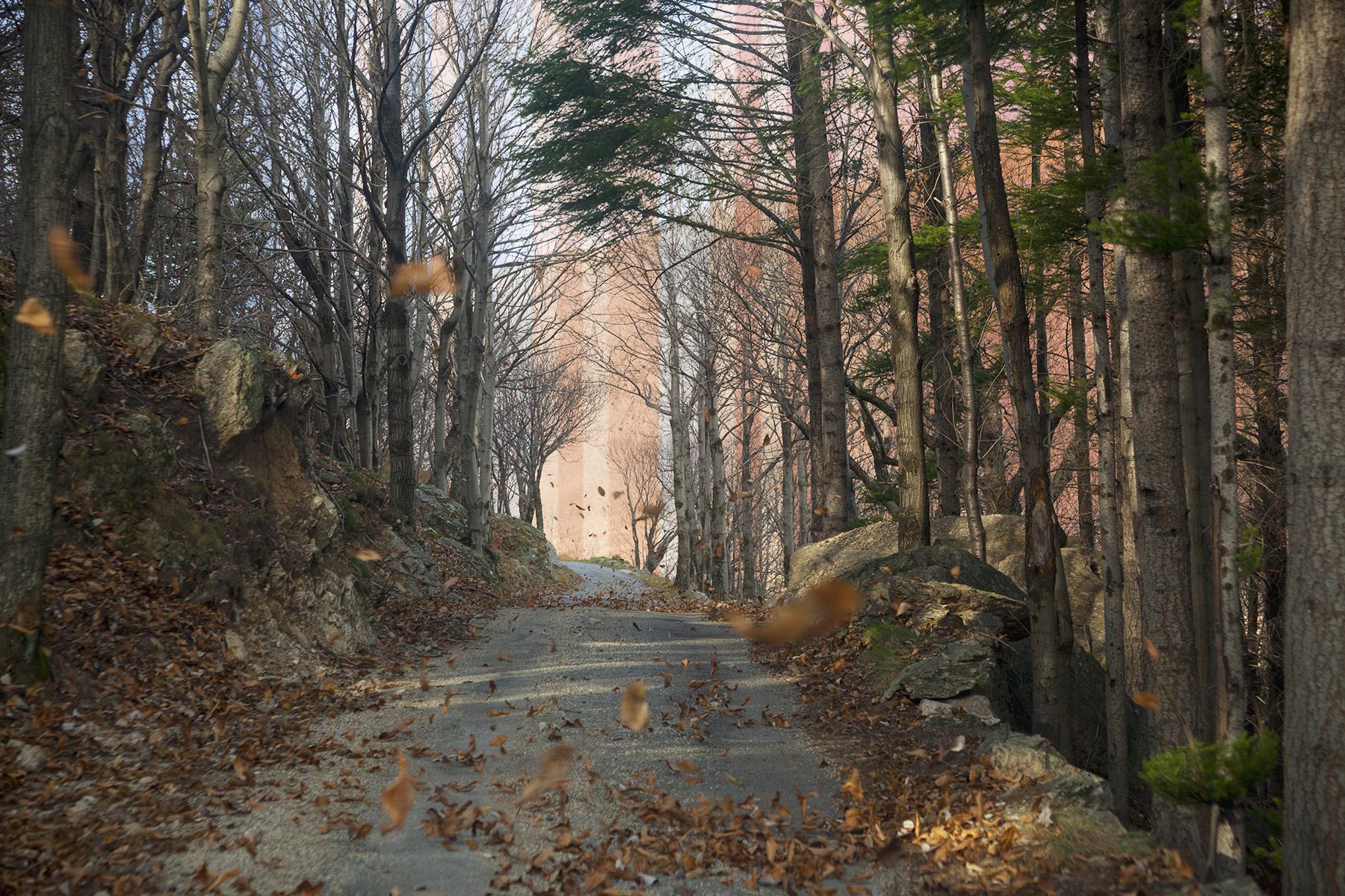 philippe-liev pourcelot - Warning Stripes - 2024