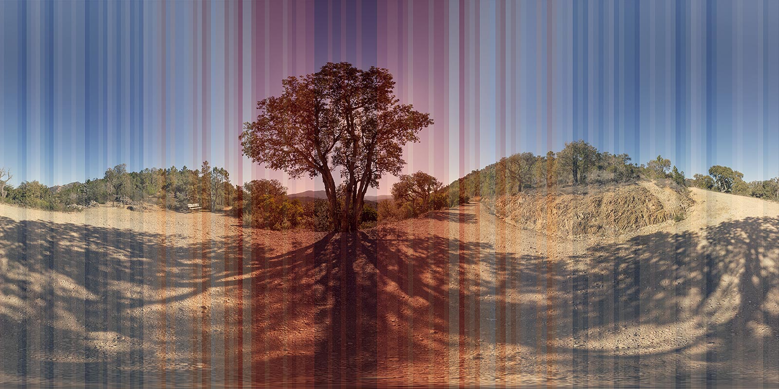 Warning Stripes © phlp 2024