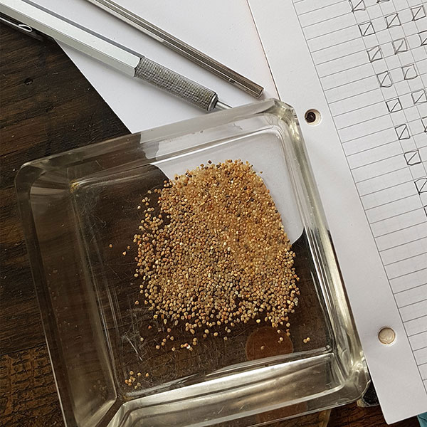 20 000 grains de sable - en cours de comptage © 2020