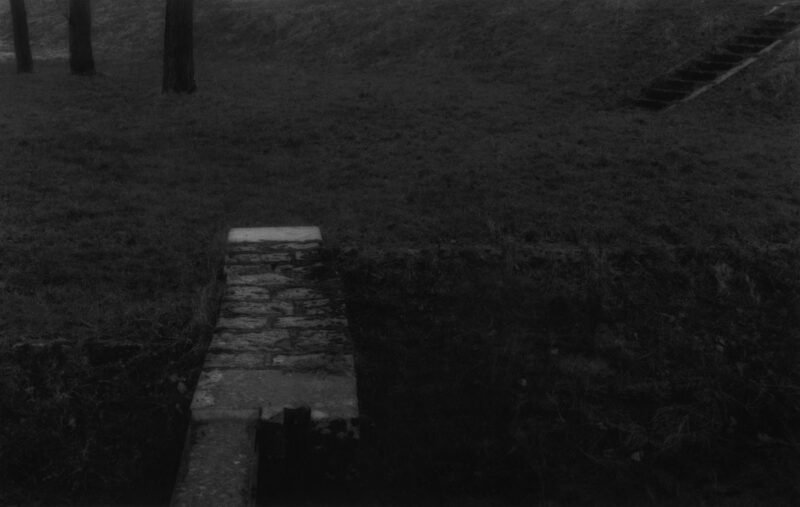 2923 Est - Panthier - © 1995