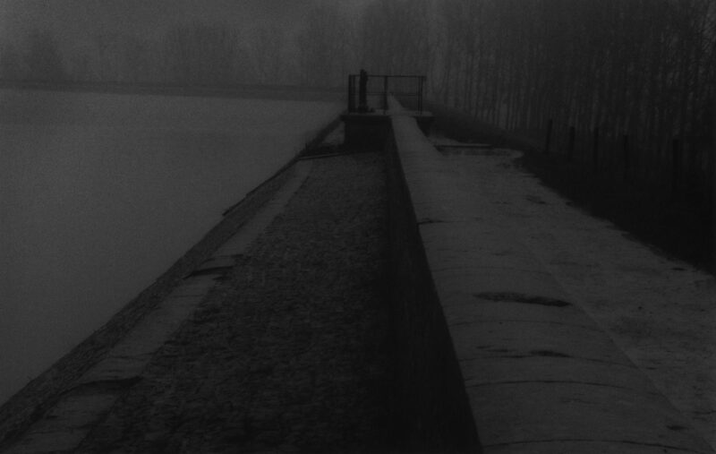 2923 Est - Panthier - © 1995