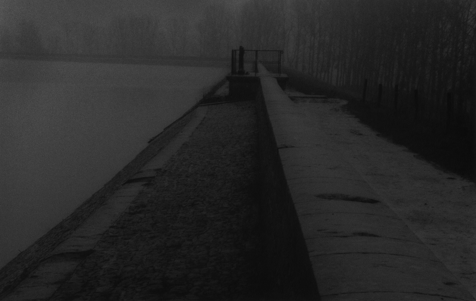 2923 Est - Panthier - © 1995