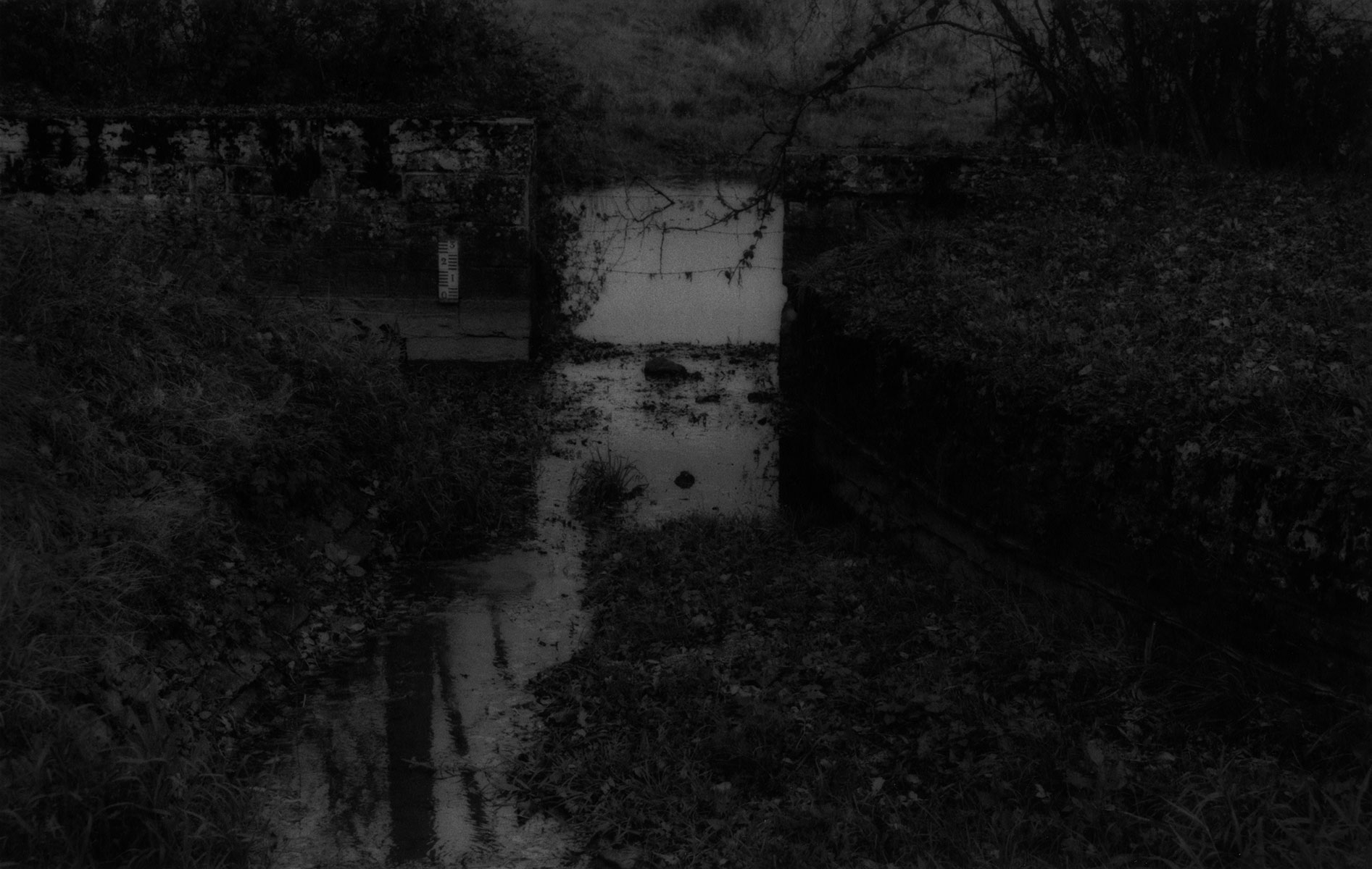 2923 Est - Cercey- © 1995