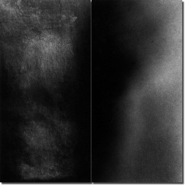 philippe-liev pourcelot - Murs | Peaux - © 1995-96