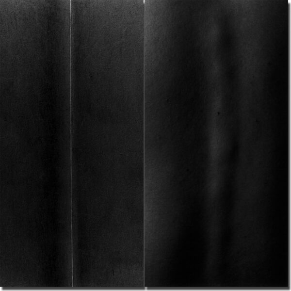 philippe-liev pourcelot - Murs | Peaux - © 1995-96