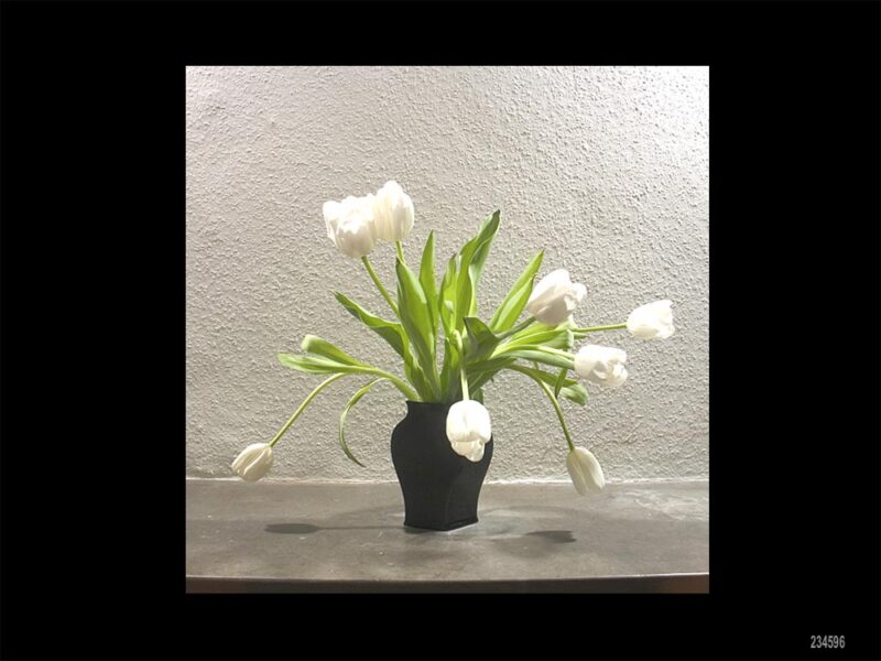 Un temps soit peu - © phlp 2006