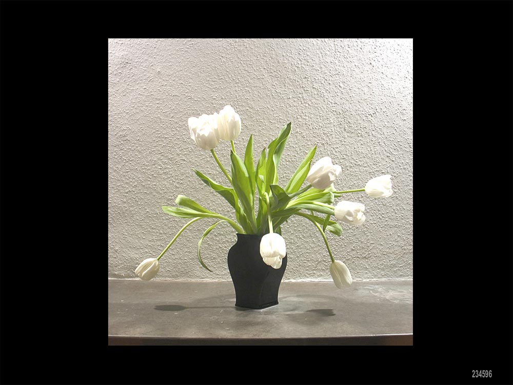 Un temps soit peu - © phlp 2006