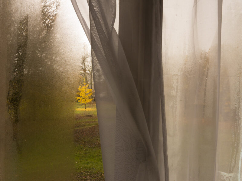 La maison vide © phlp 2004-2026