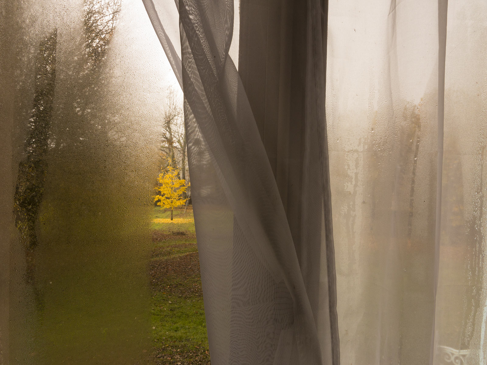 La maison vide © phlp 2004-2026